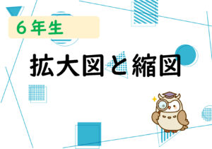 算数プリント６年生　図形の拡大と縮小